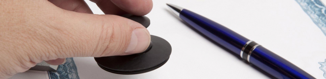 Junior Boss Play School